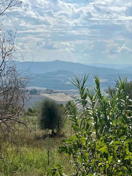 Windrose Blue Blossom Volterra Exterior foto