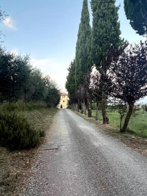 Windrose Blue Blossom Volterra Exterior foto